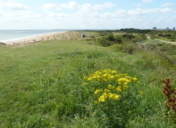 Felixstowe seaside